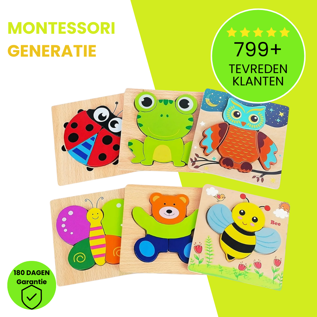 Montessori Puzzels (6-pack)