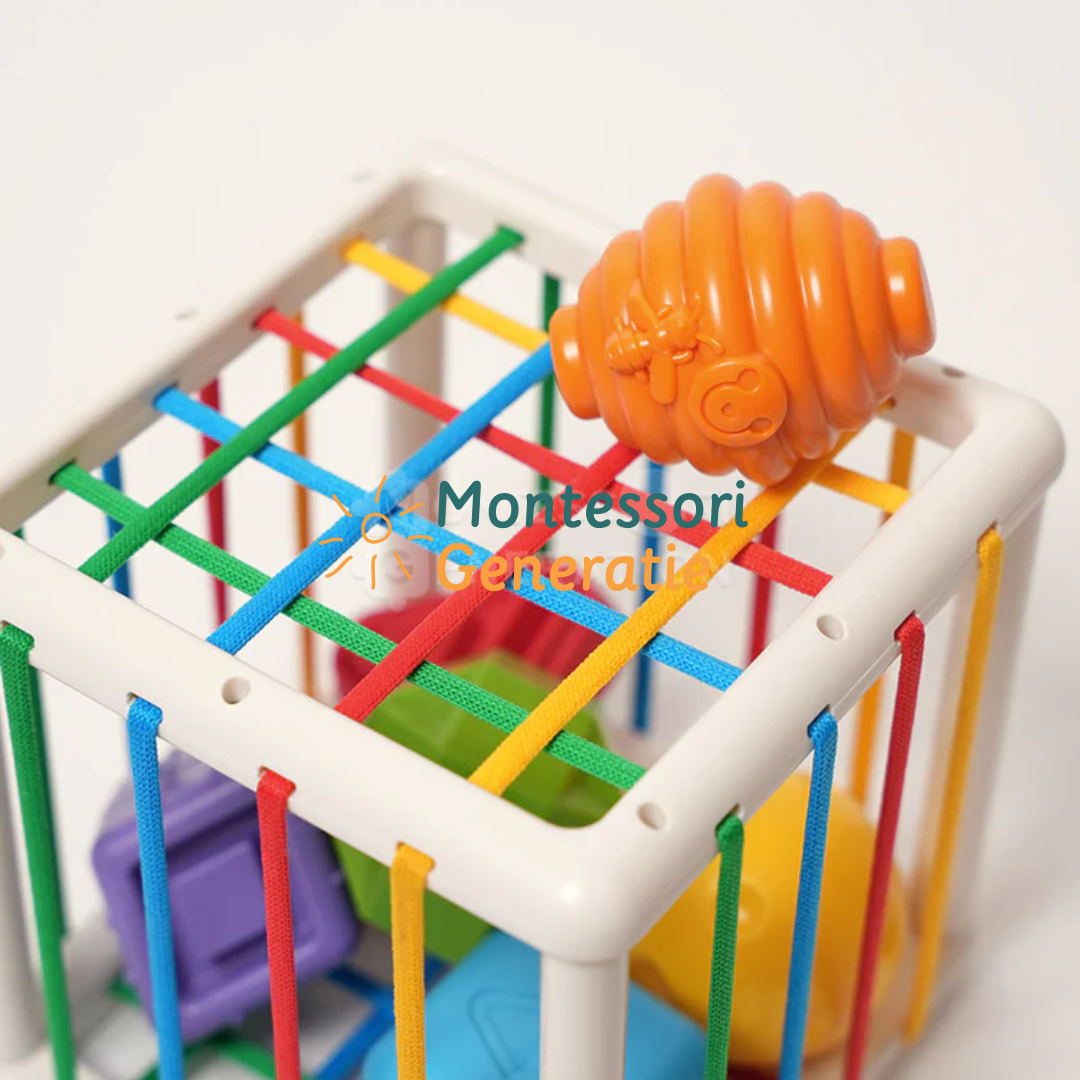 Montessori Sorteer Kubus