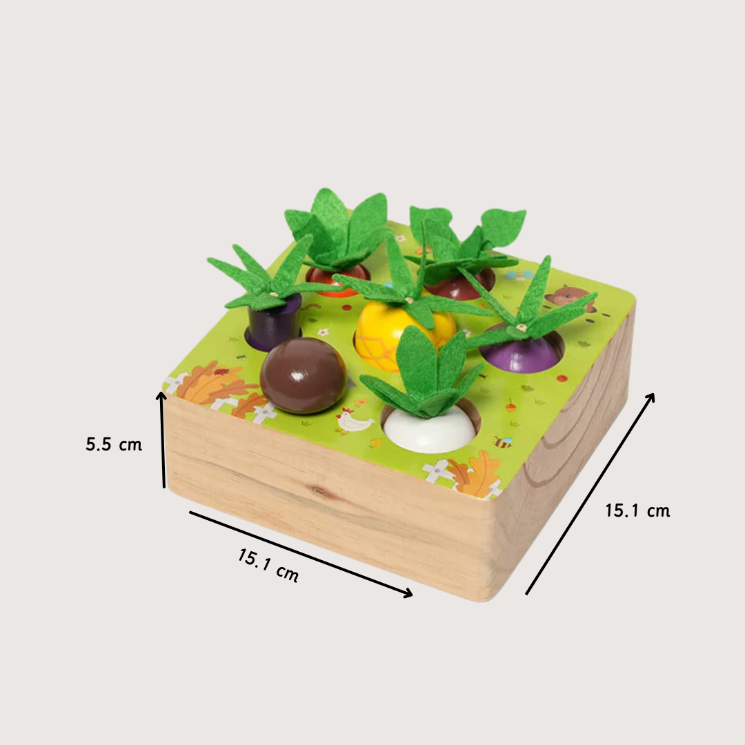 Montessori Groente Set