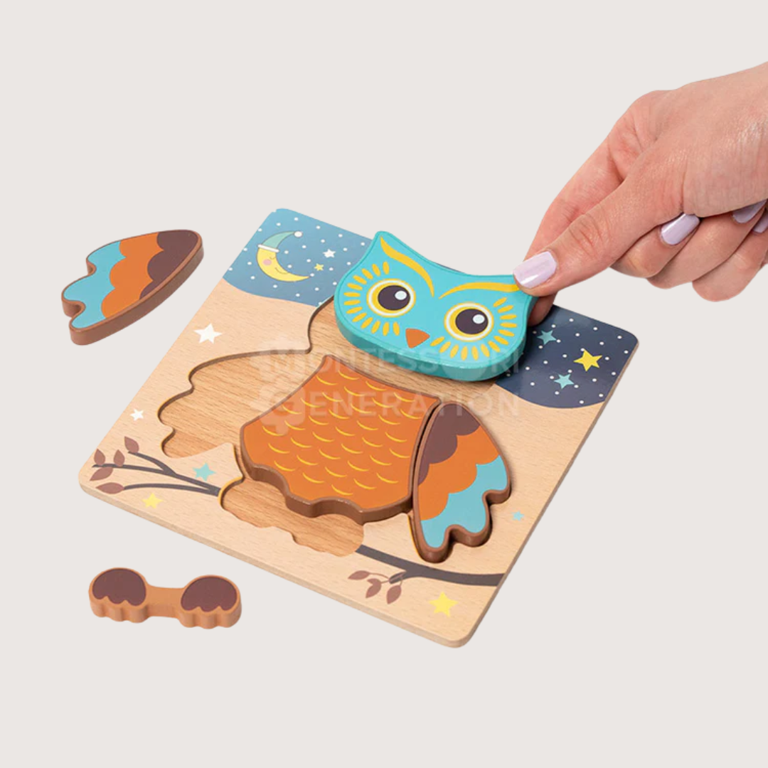 Montessori Puzzels (6-pack)