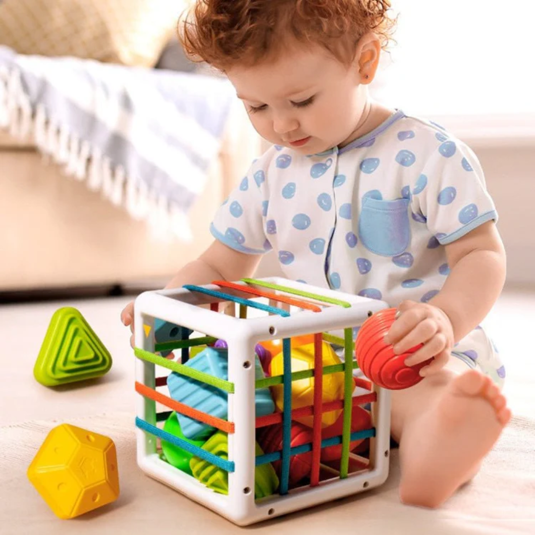 Montessori Sorteer Kubus