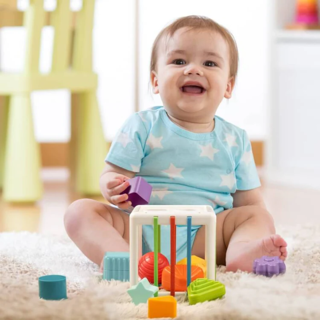Montessori Sorteer Kubus
