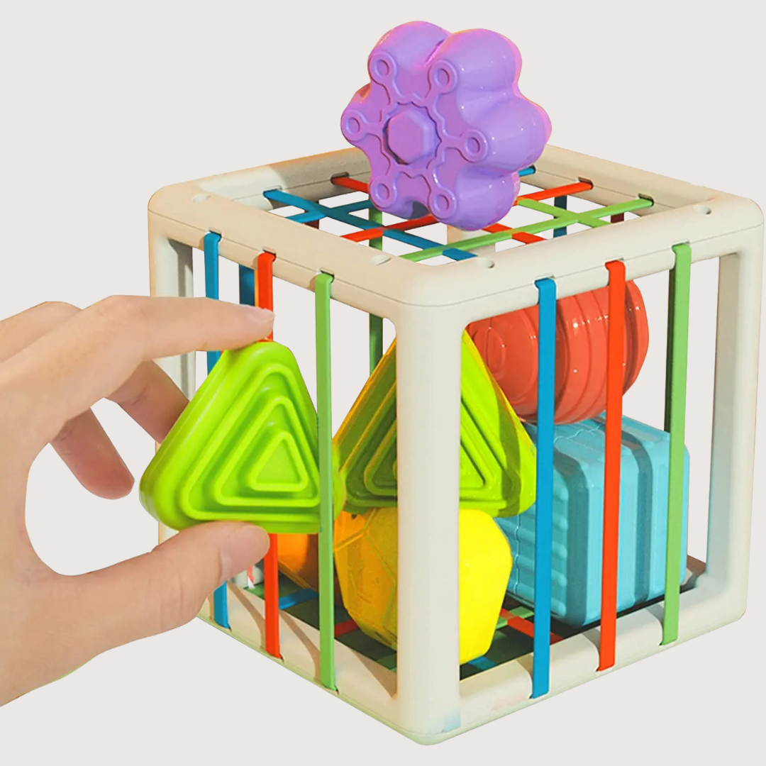Montessori Sorteer Kubus