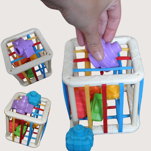 Montessori Sorteer Kubus
